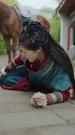 Episodes 70