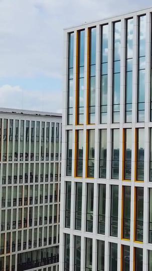 Embarazada del vagabundo multimillonario Episodio 1