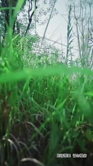 愛上女總裁 第1集
