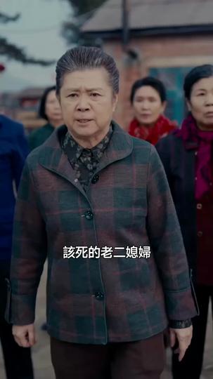 重生七零：阿嬷的麻辣囡仔 第10集