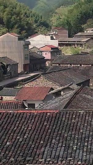 装穷爸妈送养子珍宝 第10集