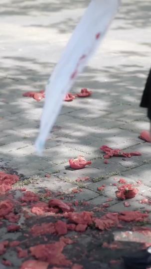 Rosen auf den Trümmern der Lüge 4Folgen