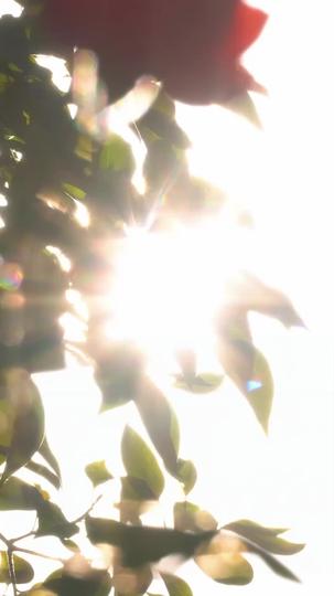 Love, Signed & Sealed Episode 9