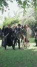 Episodes 51