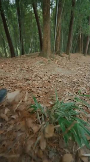 Hopping Through Time: His Unexpected Journey Episode 2