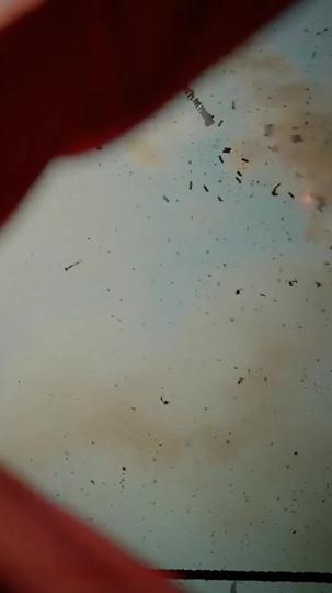 九零年代之逆袭星途 第1集