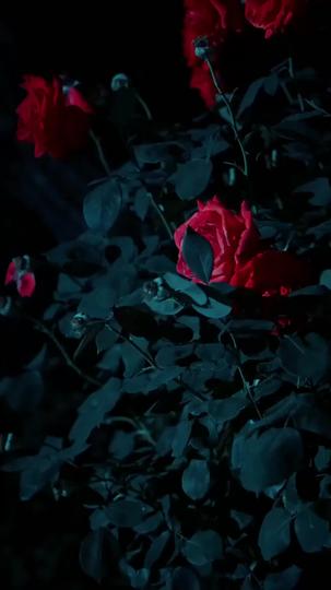 Love Lost in the Waiting Episode 1