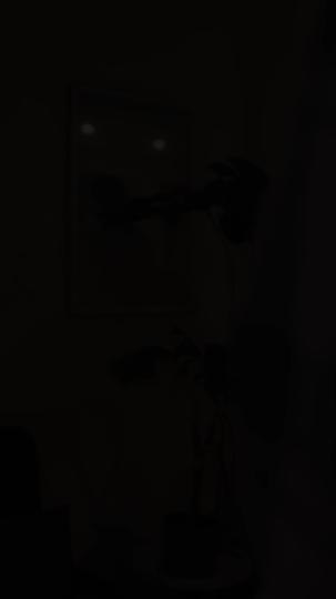 The Mistress Trap Episode 11